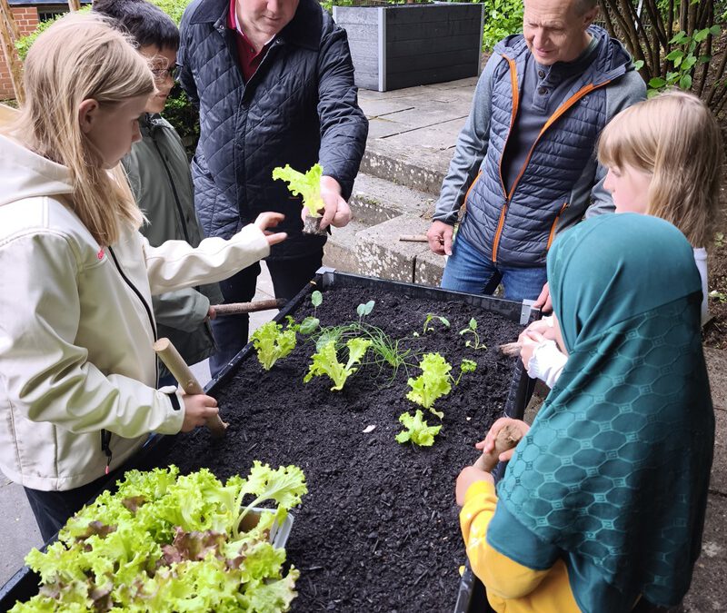 Grünes Klassenzimmer: Hochbeete für die Grundschule am Weinberg