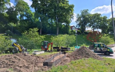 Neue Blühbeete im Nelkenpark Blomberg setzen florale Akzente