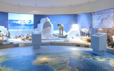 Pfingsten im Museum – spannend für die ganze Familie!
