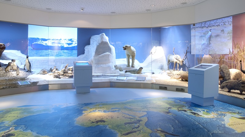 Pfingsten im Museum – spannend für die ganze Familie!