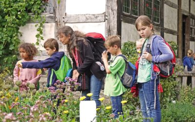Sommerferien im LWL-Freilichtmuseum Detmold