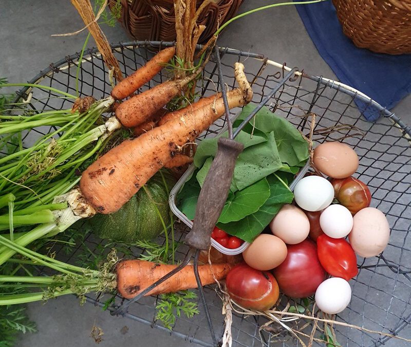 Offene Gärten am Wochenende entdecken