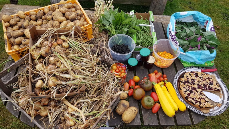 Offene Gärten in Lippe