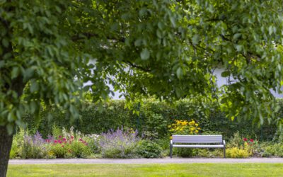 Offene Gärten in Lippe 30. und 31. August 2025