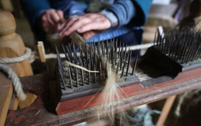 Von der Ernte bis zum fertigen Stoff