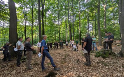 »Waldbau in Lippe ist ein Generationenauftrag«