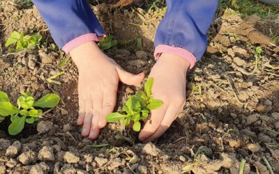 Publikumsvoting „NRW-Engagementpreis 2025“ startet – AckerBildung Blomberg ist dabei