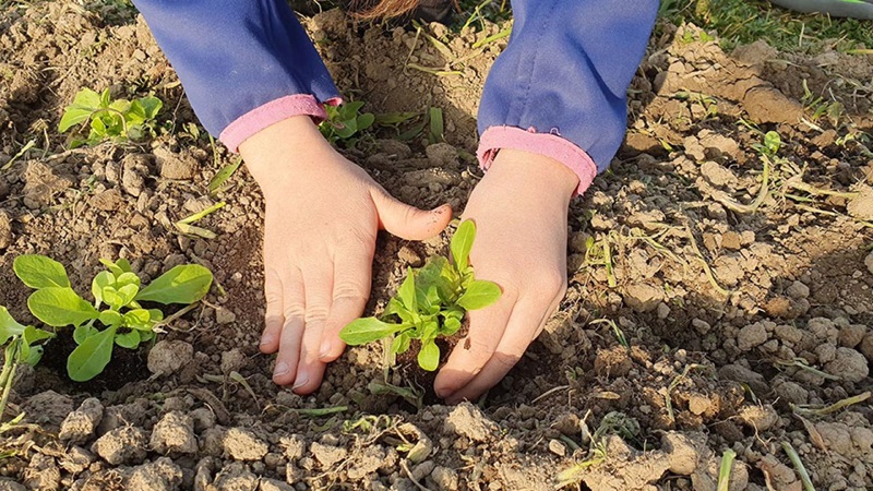 Publikumsvoting „NRW-Engagementpreis 2025“ startet – AckerBildung Blomberg ist dabei