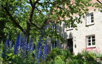 Saisonabschluss der Offenen Gärten in Lippe: Der Rolfsche Hof lädt ein