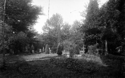 Führung über den Friedhof Rintelner Straße