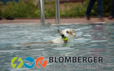 Blomberger Freibadsaison endet am 11. September – Hundeschwimmen zum Abschluss