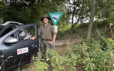 Ranger im Einsatz: Naturschutz vor Ort