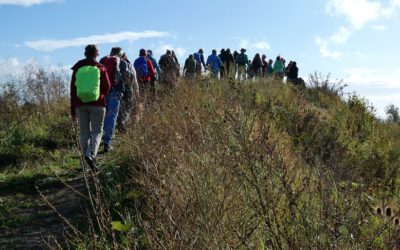 Gemeinsam die Natur erkunden