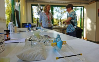 Europäischer Tag der Restaurierung