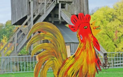 Wer hat das schönste Huhn?