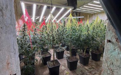 Erfolgreicher Schlag gegen Rauschgiftbande – Bilanz des länderübergreifenden Einsatzes