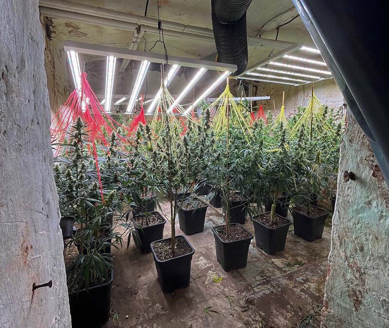 Erfolgreicher Schlag gegen Rauschgiftbande – Bilanz des länderübergreifenden Einsatzes