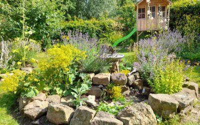 Gartenwettbewerb: Die Gewinnergärten stehen fest