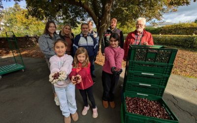Rund 120 kg Kastanien fürs Damwild
