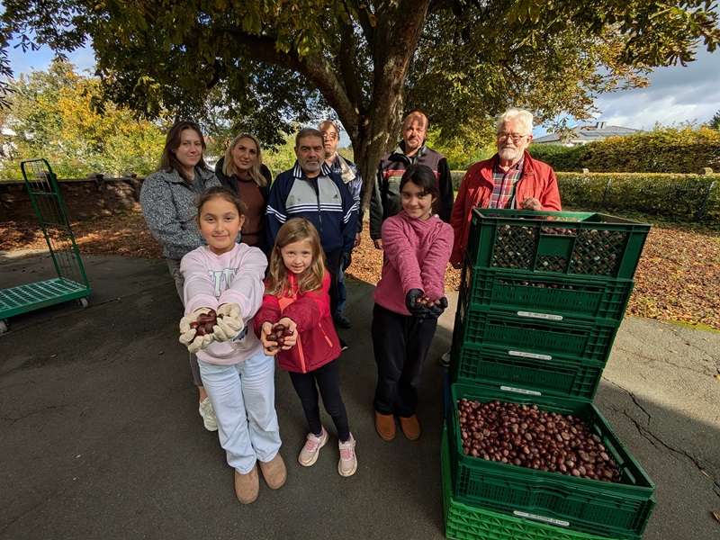 Rund 120 kg Kastanien fürs Damwild