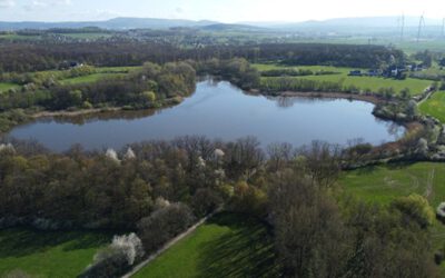 Der Norderteich – einst und heute