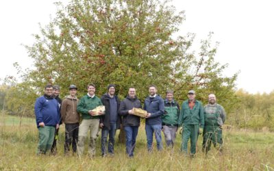 Wenn aus Streuobst Saft wird