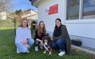 Kita „Gipfelstürmer“ lädt zum Tag der offenen Tür ein