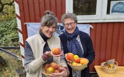 Neuer Durchgang der Obstwiesenpfleger-Fortbildung startet