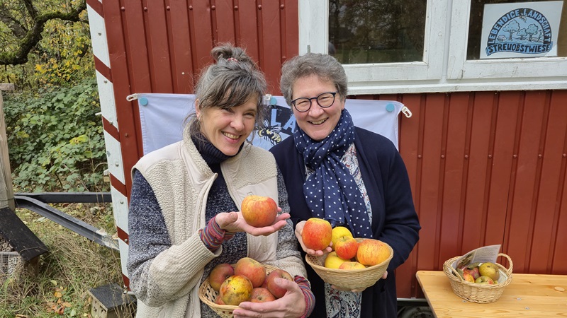 Neuer Durchgang der Obstwiesenpfleger-Fortbildung startet
