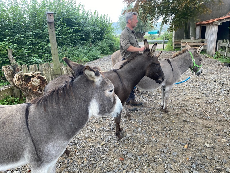 Mit Eseln durch den Winter: LTM lädt zu Erlebnisführungen mit Camillo und Co.