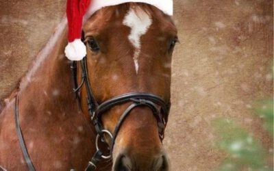 Weihnachtsreiten in Donop