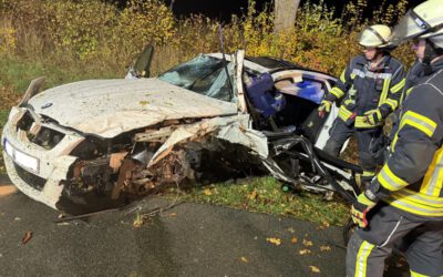 Blomberger bei Alleinunfall schwer verletzt