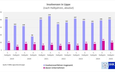 IHK Lippe wertet Insolvenzstatistik aus