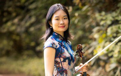 Die Viola in all ihren Facetten