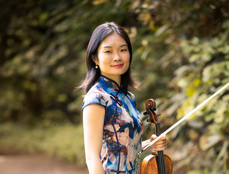 Die Viola in all ihren Facetten