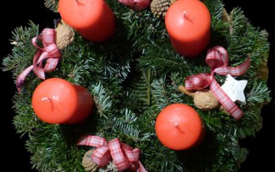 Eine runde Sache: Winterkranz-Workshop bei der AckerBildung