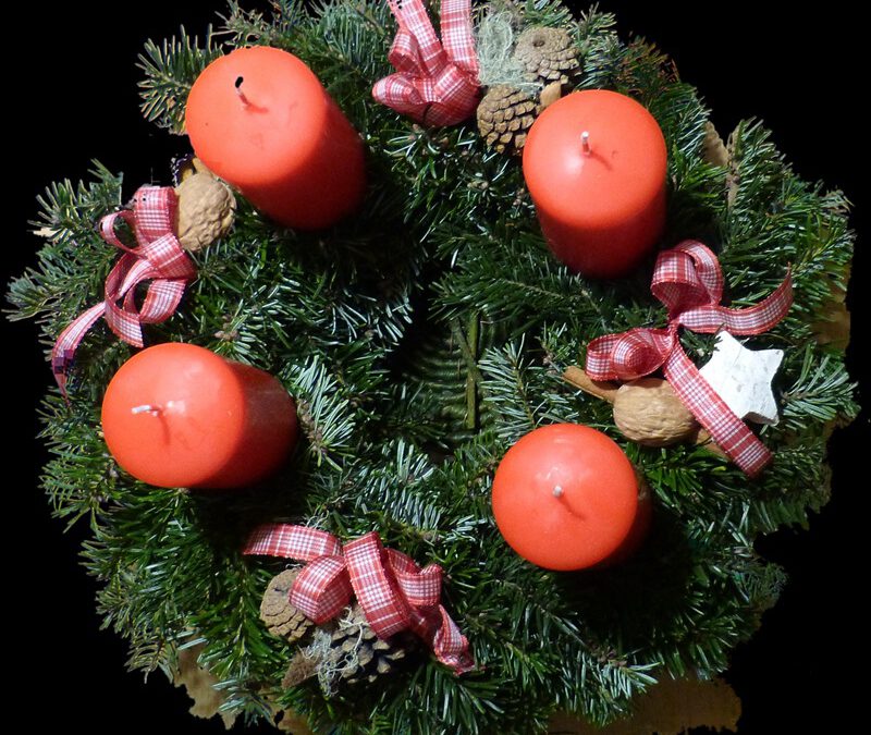 Eine runde Sache: Winterkranz-Workshop bei der AckerBildung