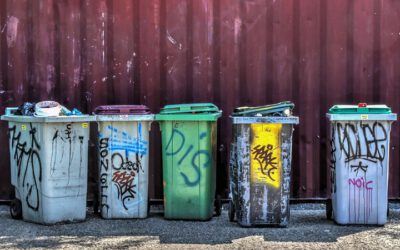 Pro-Kopf-Abfallaufkommen steigt 2024 zum zweiten Mal in Folge