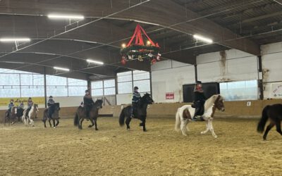 Island zu Gast in Donop