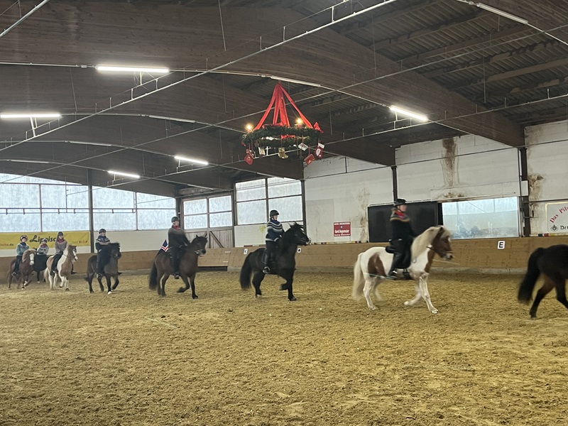 Island zu Gast in Donop