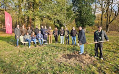 Familie sorgt für 1000 Bäume für den Lemgoer Stadtwald