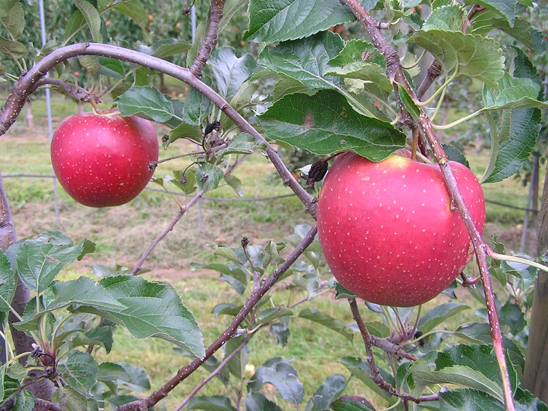 Naturerlebnis Lippe: Führungen der Lippe Tourismus & Marketing GmbH