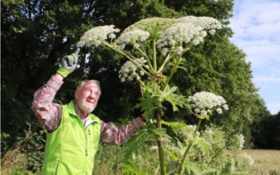 Tierische und pflanzliche Neubürger – Gefahr für die Natur ?