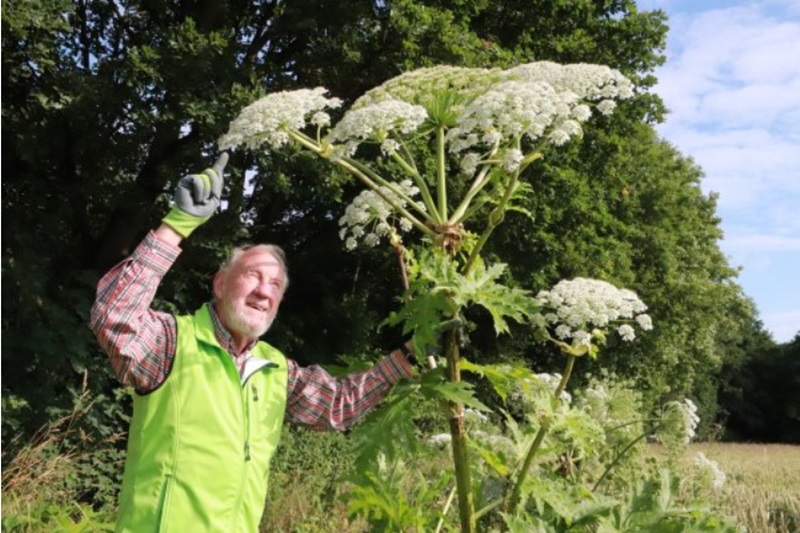 Tierische und pflanzliche Neubürger – Gefahr für die Natur ?