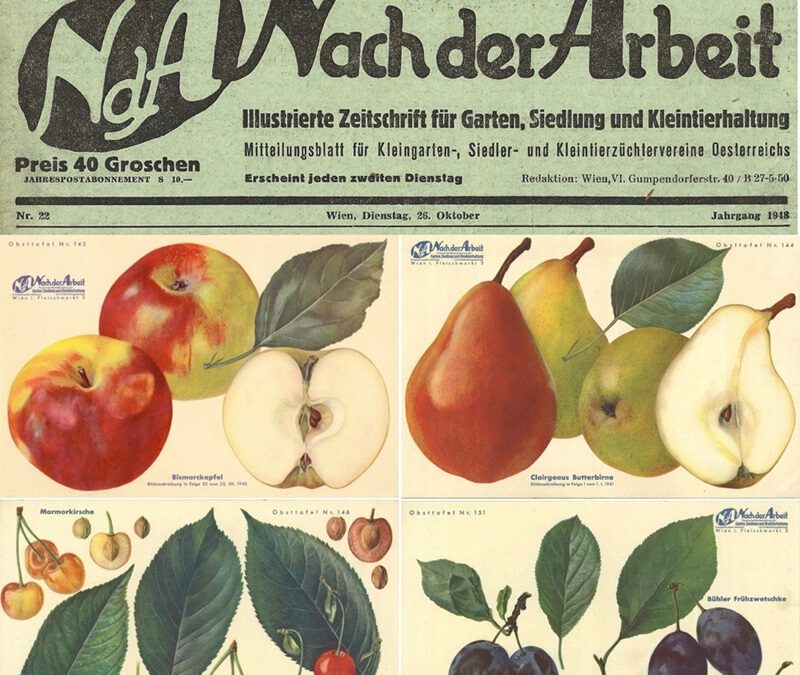 Obstsortendatenbank des BUND Lemgo mit Rekordzugriffszahlen in 2025