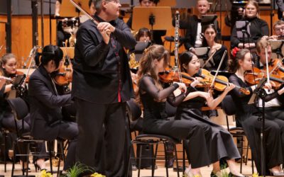 Zwischen Witz und Wahnsinn