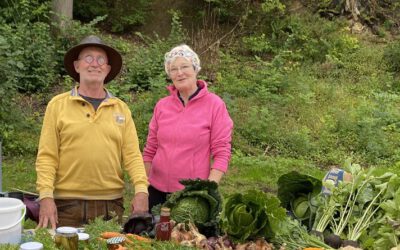 Frisches Gemüse aus gemeinschaftlicher Selbstversorgung