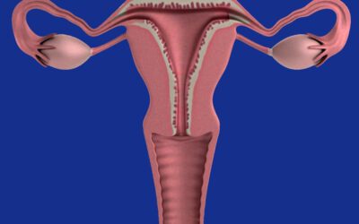 Endometriose: Vortrag im Gesundheitszentrum Oerlinghausen
