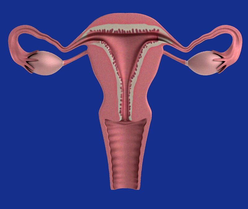 Endometriose: Vortrag im Gesundheitszentrum Oerlinghausen