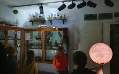 Ich sehe was, was Du nicht siehst: Tiere im Dunkeln